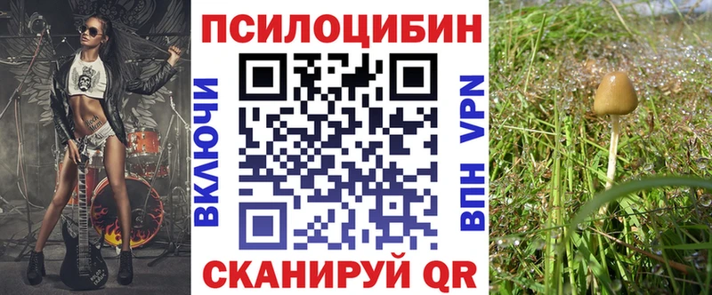 blacksprut ССЫЛКА наркота Йошкар-Ола Галлюциногенные грибы MAGIC MUSHROOMS